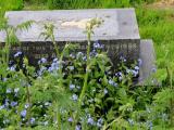 image of grave number 718826